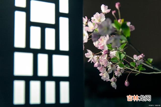 你想要什么样的生活，要靠你自己去争取！