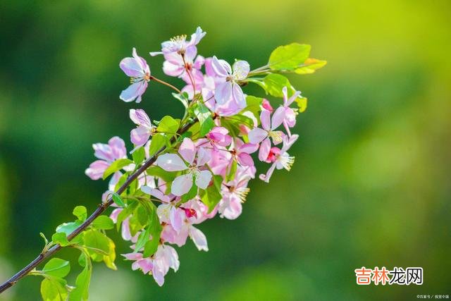 你想要什么样的生活，要靠你自己去争取！