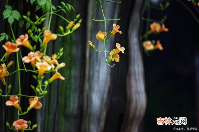 01男人不爱了 请记住，一个随时随地觉得你“烦”的人，是不会给你太深的爱的