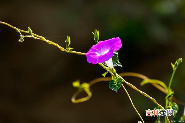 01男人不爱了 请记住，一个随时随地觉得你“烦”的人，是不会给你太深的爱的