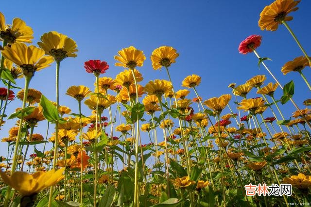 1引言你我以及身边的大多数人 我们左右不了生活，但可以左右自己的态度