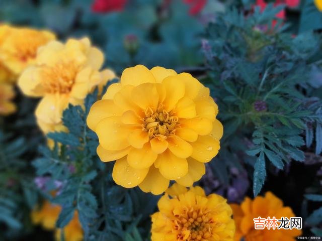 01引言读书 其实，读书就能实现这一点，因为它提升了女人的认知