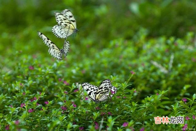 情侣分手以后 分手了以后，根本没有办法，以朋友的身份去相处