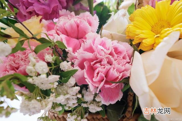 生活在这个世界上 真正精彩的人生，是从学会“释怀”开始的！