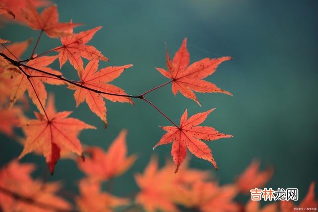 一个男人 一个人的朋友圈，往往能体现他的层次和修养，决定他的未来