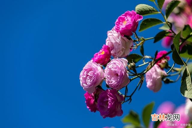每个女人都渴望自己过得幸福 过得幸福的女人,懂得自我调节,懂得生活是自己的道理