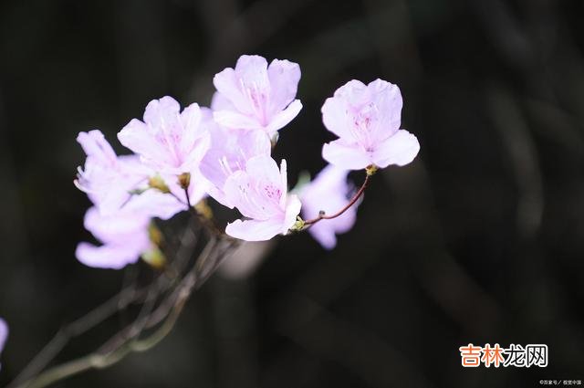 每个女人都渴望自己过得幸福 过得幸福的女人，懂得自我调节，懂得生活是自己的道理