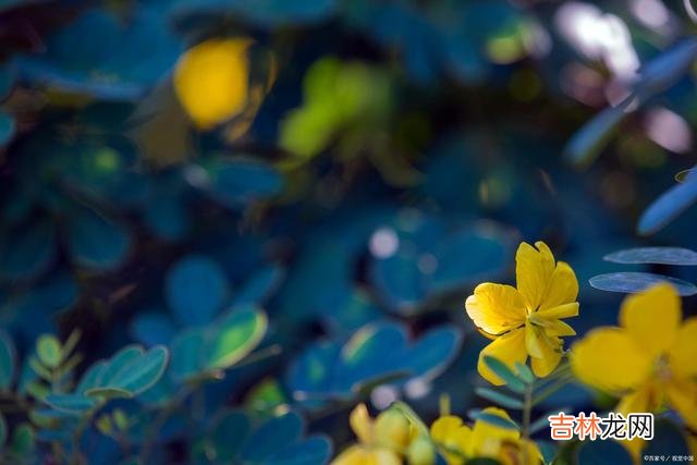 01引言这一生 一个真正活得通透的女人，往往懂得做自己，懂得为自己而活