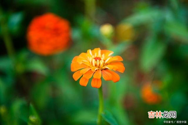 很多人认为 爱一个人,除了要有技巧以外,你自身愿意配合的能力够强
