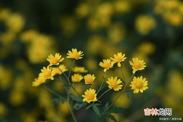 很多人认为 爱一个人,除了要有技巧以外,你自身愿意配合的能力够强