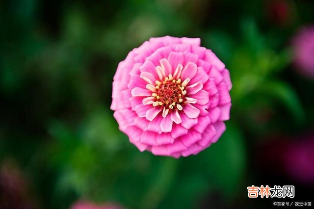 很多人认为 爱一个人,除了要有技巧以外,你自身愿意配合的能力够强