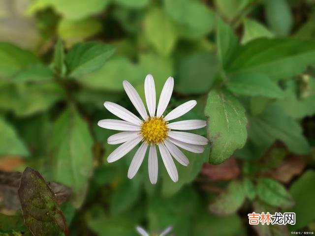 1引言有道是 余生你能做到遇事不较劲，懂得来这人间的目的，那么你就赢了