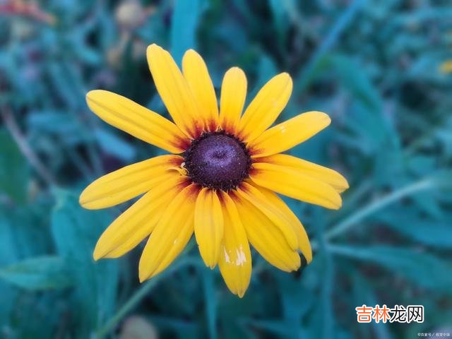 01引言梁实秋老师曾在《谈友谊》里 保持适当的距离，懂得细水长流的道理，这才是与人相处时的大智慧