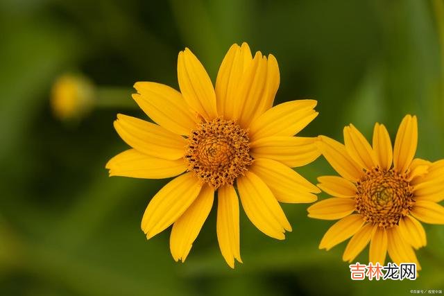 01引言梁实秋老师曾在《谈友谊》里 保持适当的距离，懂得细水长流的道理，这才是与人相处时的大智慧