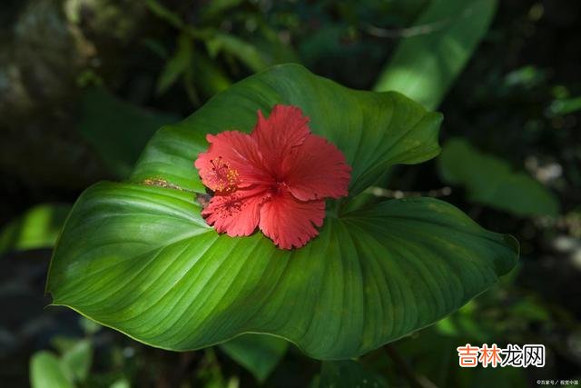 01引言我们这一生 一个人深处黑暗并不可怕，可怕的是，不再相信光明