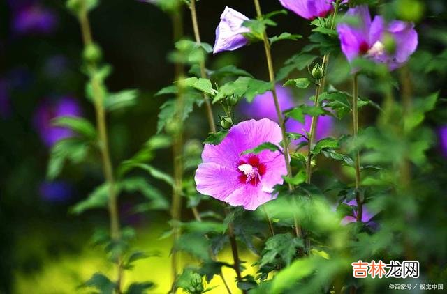 01引言我们这一生 一个人深处黑暗并不可怕，可怕的是，不再相信光明
