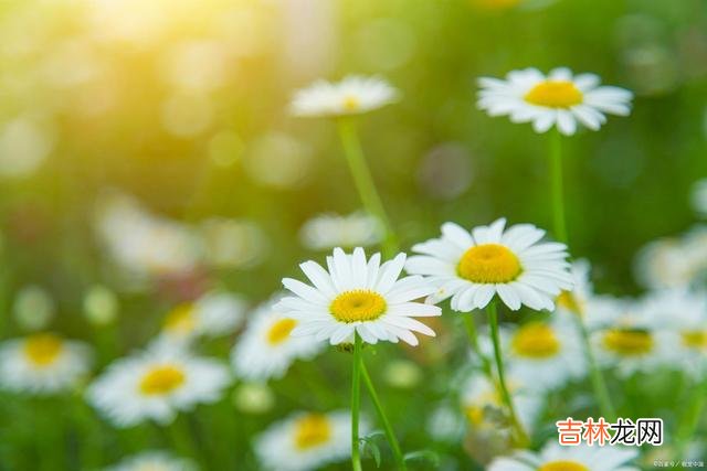 01引言生活中 越活越幸运的人，往往能“豁得出去”