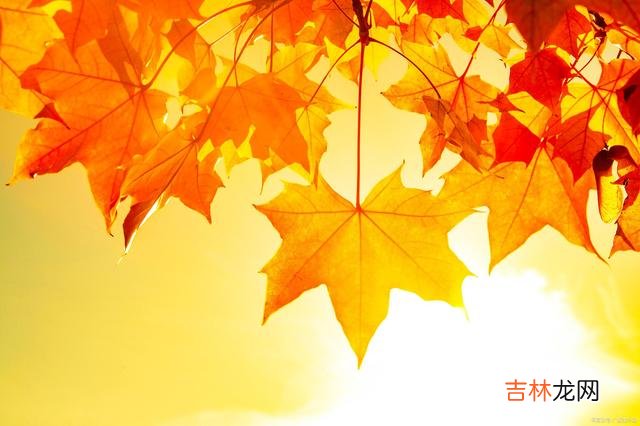 01引言天长地久 给女人平等对待，不仅是认可，更是尊重