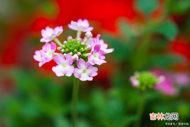 01引言有很多女人 不爱你的男人，在多数时候，都是自私的