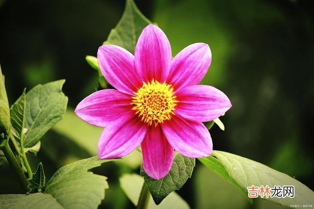 01引言有很多女人 不爱你的男人，在多数时候，都是自私的