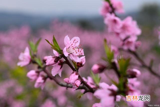 这个社会 你是否可交，时间会给你一个，很好的答案