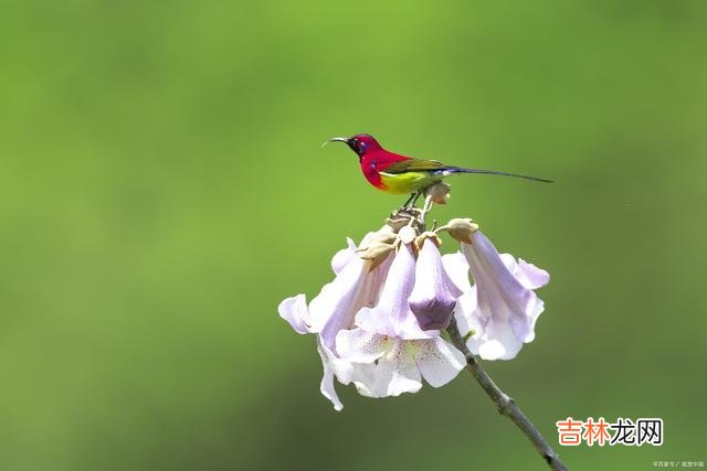 人与人交往 婚姻里，简单的一句话，可能会摧毁一个女人的底线