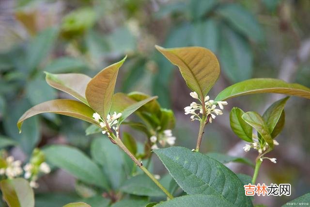 人与人交往 婚姻里，简单的一句话，可能会摧毁一个女人的底线