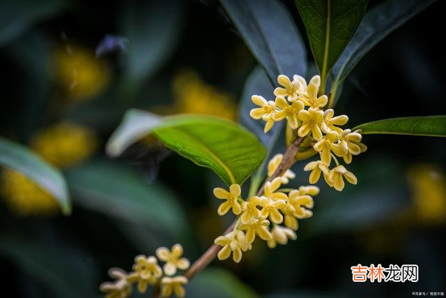 人与人交往 婚姻里，简单的一句话，可能会摧毁一个女人的底线