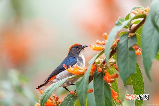 人与人交往 婚姻里，简单的一句话，可能会摧毁一个女人的底线
