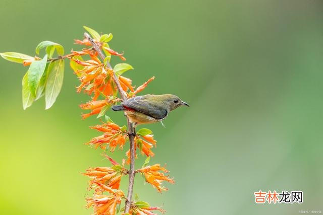人与人交往 婚姻里，简单的一句话，可能会摧毁一个女人的底线