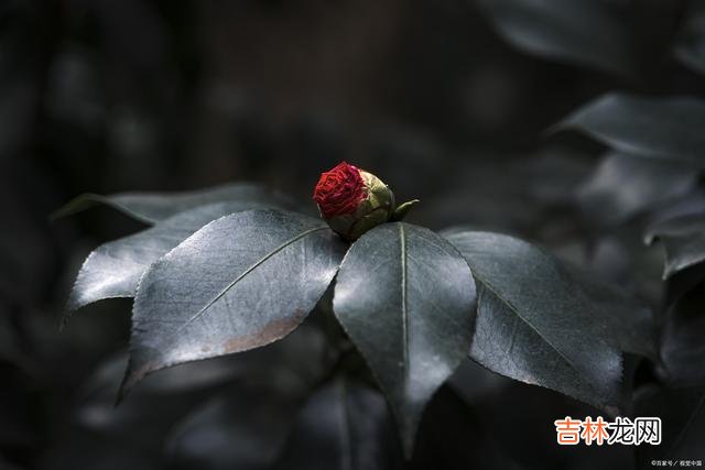 我们总以为 永远不要抱怨人生中的遗憾，因为这是常态