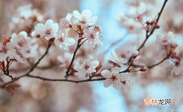 我们总以为 永远不要抱怨人生中的遗憾，因为这是常态