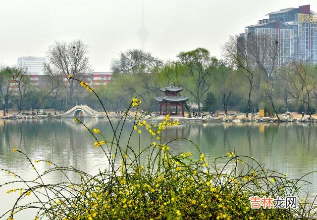 我们总以为 永远不要抱怨人生中的遗憾，因为这是常态