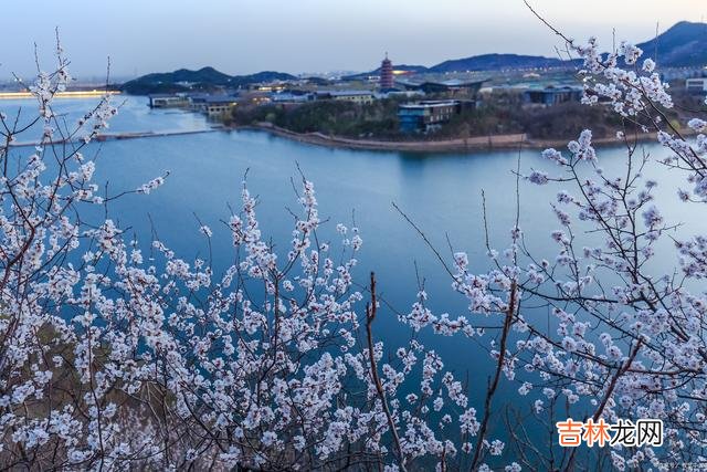 我们总以为 永远不要抱怨人生中的遗憾，因为这是常态