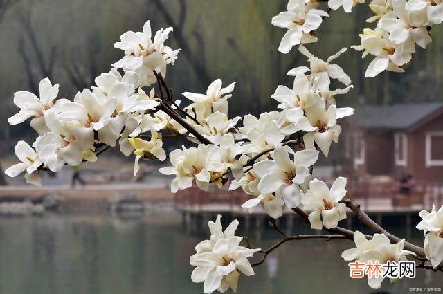 我们总以为 永远不要抱怨人生中的遗憾，因为这是常态