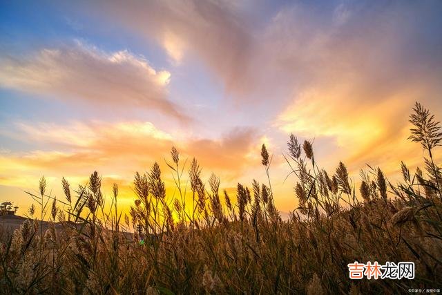 有一句老话说得好：“言多必失 一般来说，管住嘴的人，都是有智慧的人