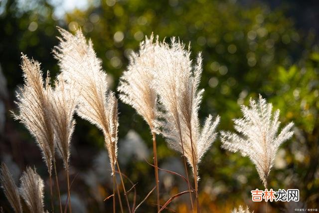有一句老话说得好：“言多必失 一般来说，管住嘴的人，都是有智慧的人