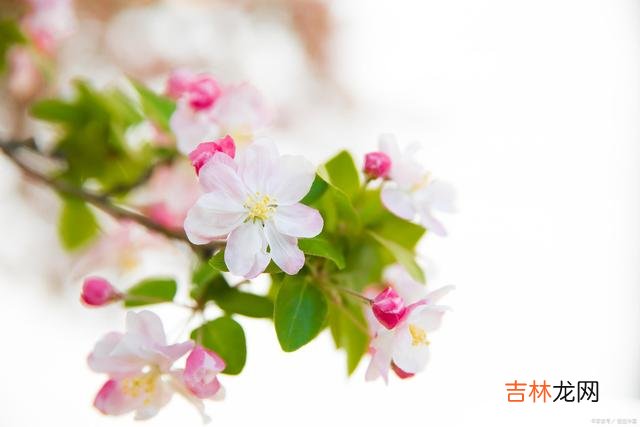这世上 父母的爱，是这世上最伟大的爱，值得我们用一生来珍惜，共勉