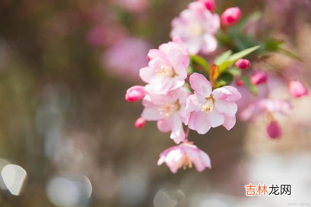 这世上 父母的爱，是这世上最伟大的爱，值得我们用一生来珍惜，共勉