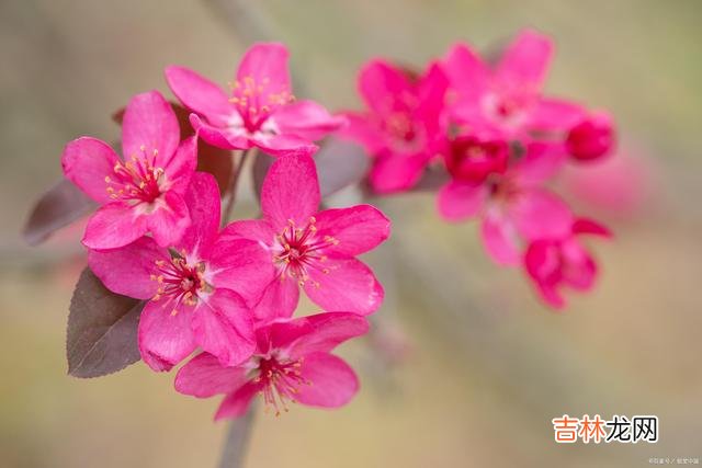 这世上 父母的爱，是这世上最伟大的爱，值得我们用一生来珍惜，共勉