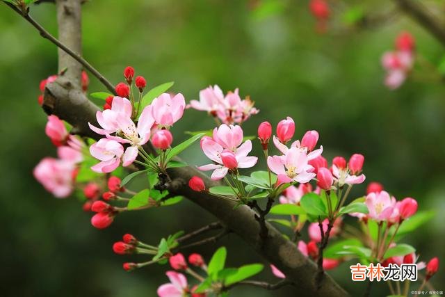这世上 父母的爱，是这世上最伟大的爱，值得我们用一生来珍惜，共勉