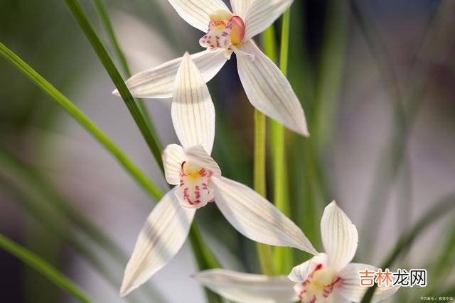 我们这一生 爱你的人可能不一定懂你，但是懂你的人基本来说是爱你的
