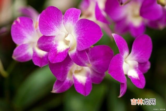我们这一生 爱你的人可能不一定懂你，但是懂你的人基本来说是爱你的