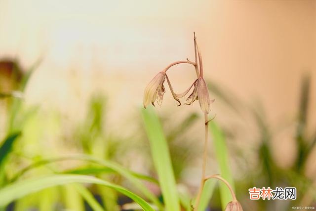 我们这一生 爱你的人可能不一定懂你，但是懂你的人基本来说是爱你的