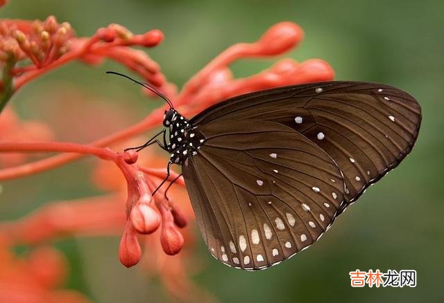 一个人遇到事情的第一反应，决定了他是什么样的人