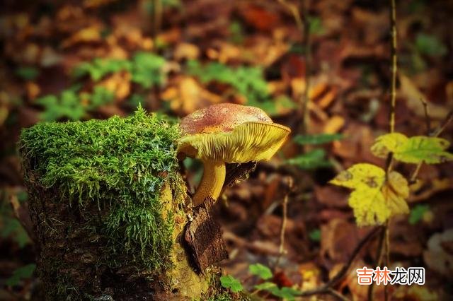 你是否遇到过这样的情况 一个真正善良的人，是不会让你感到尴尬的