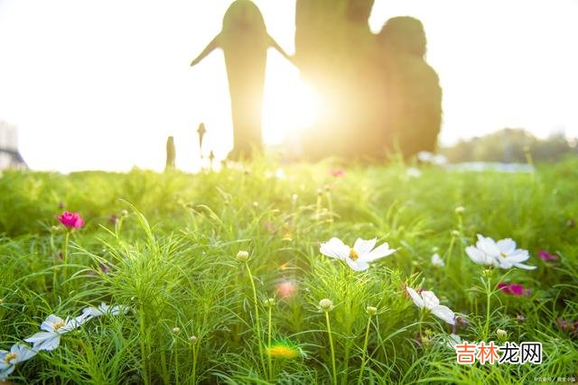 恋爱的时候 一个男人不在乎你了，你要做的不是纠缠而是果断离开