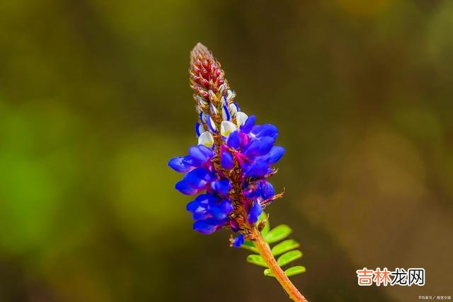 恋爱的时候 一个男人不在乎你了，你要做的不是纠缠而是果断离开