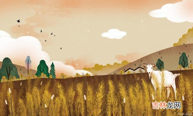 在这个世上 不去比较，用自己的方式，把生活过成了别人羡慕的样子