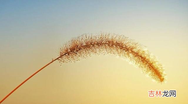 不管是在恋爱中 女人没有钱真的太痛苦了，生活的幸福指数会非常低